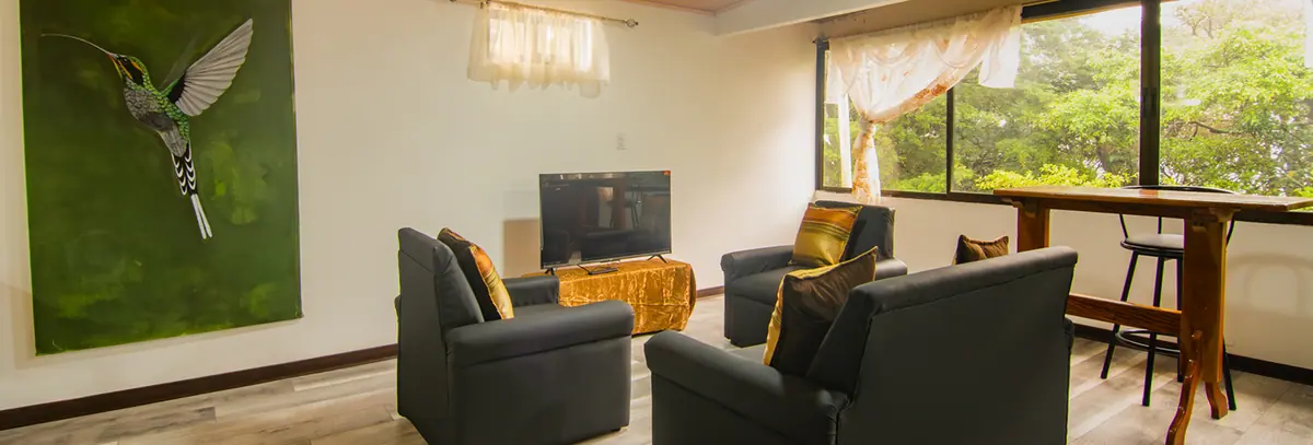 Barra con banquetas junto a la ventana y cuadro de colibrí en el estudio del Pizote Apartment