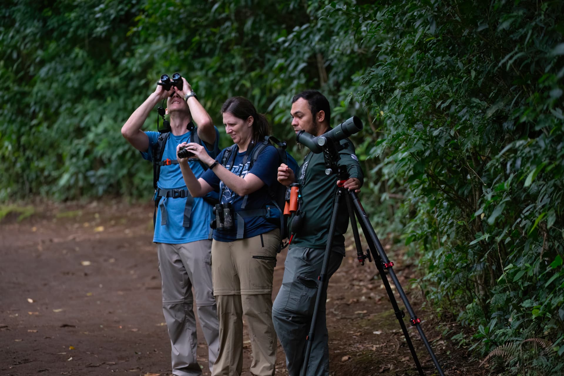 Oscar Castillo Mejía Mejía with his spotting scope guiding two birders on a Monteverde forest trail