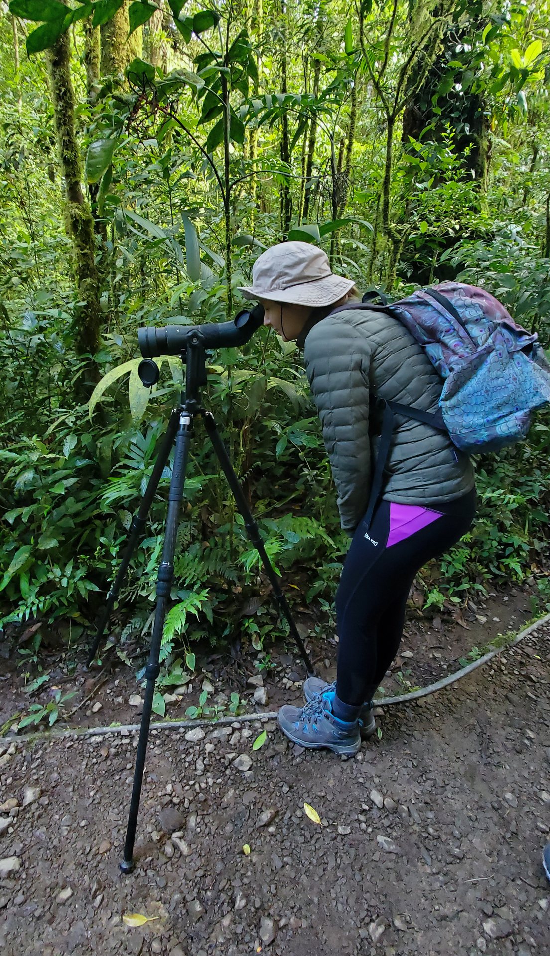 Spotting scope set up on a Monteverde birding trail at dawn