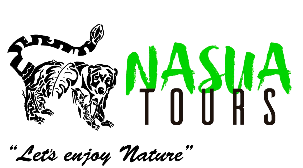 Nasua Tours logo