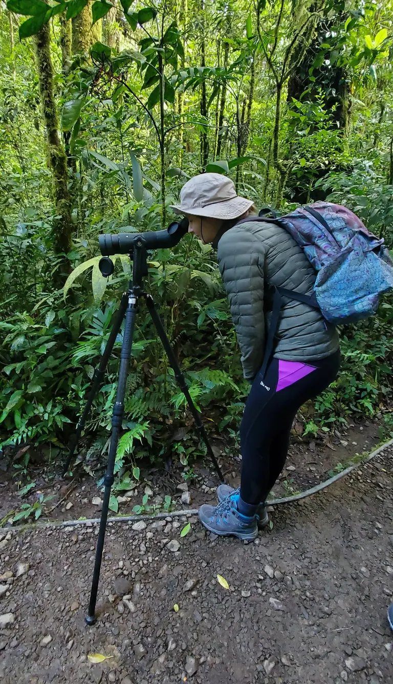 Naturalist guide carrying a spotting scope along a misty birding trail in Monteverde