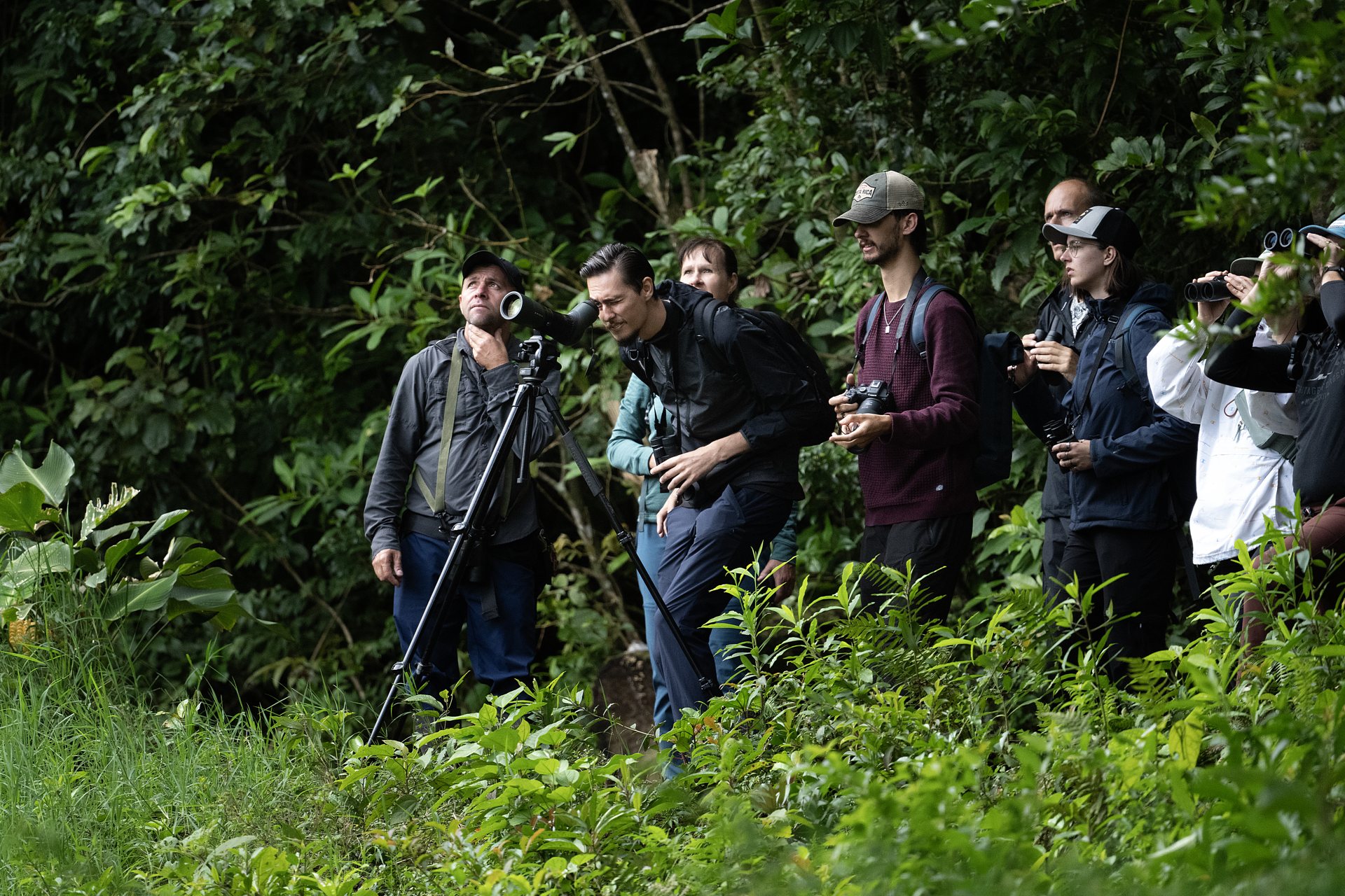A Nasua Tours naturalist guide leading a small group of travellers on a Monteverde forest trail