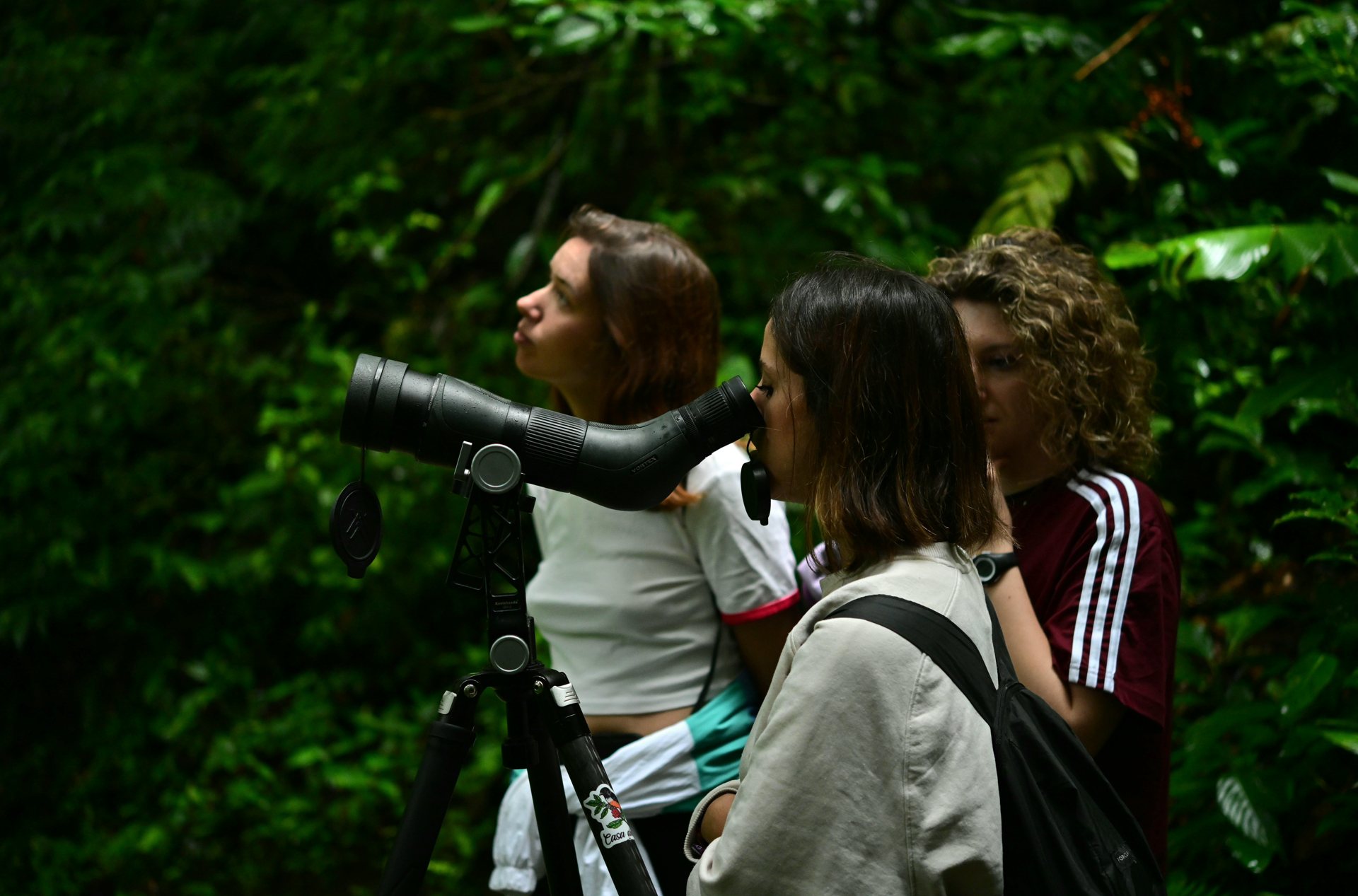 Guest looking through a spotting scope at wildlife on a Monteverde trail